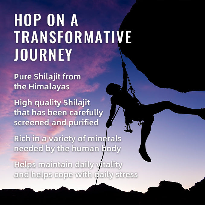 BSYS HIMALAYAN SHILAJIT GUMMIES
