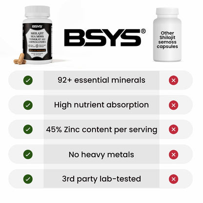 BSYS himalayan shilajit + sea moss