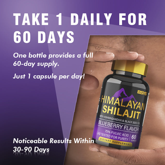 BSYS HIMALAYAN SHILAJIT GUMMIES