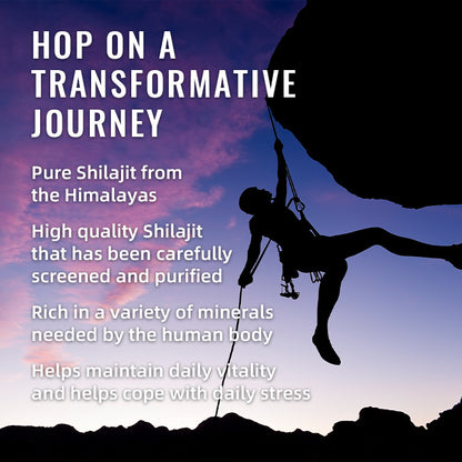 BSYS HIMALAYAN SHILAJIT GUMMIES